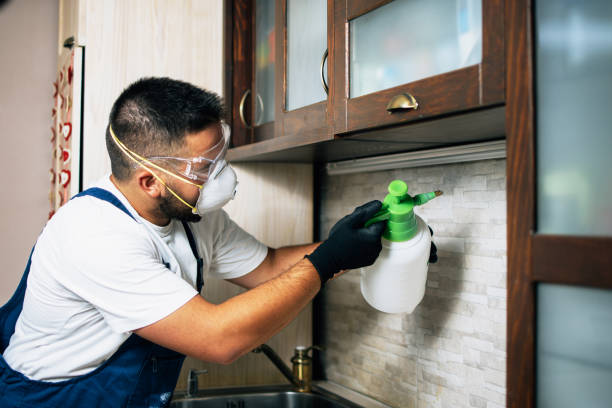 Best Mosquito Control Services  in Manorville, NY