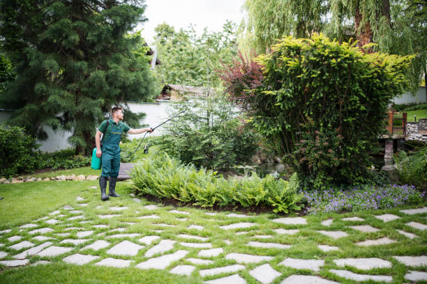 Trusted Manorville, NY Pest Control Experts