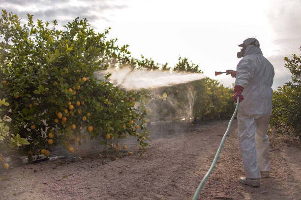 Pest Control for Restaurants in Manorville, NY